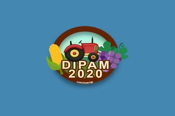 DIPAM 2020