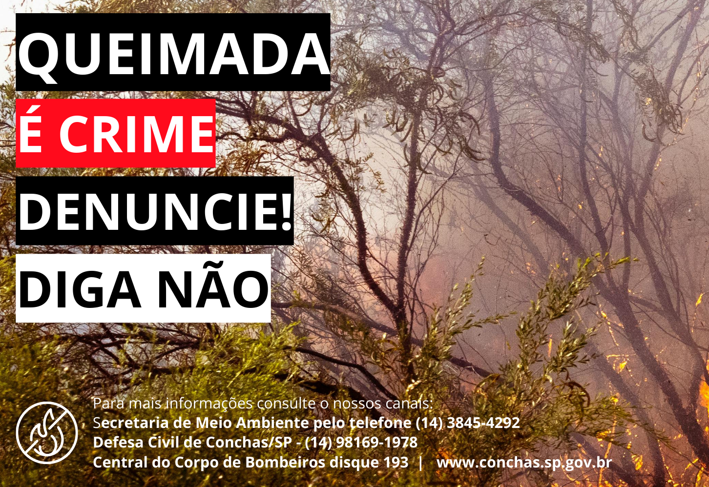 Queimada é crime. Denúncie! Diga Não