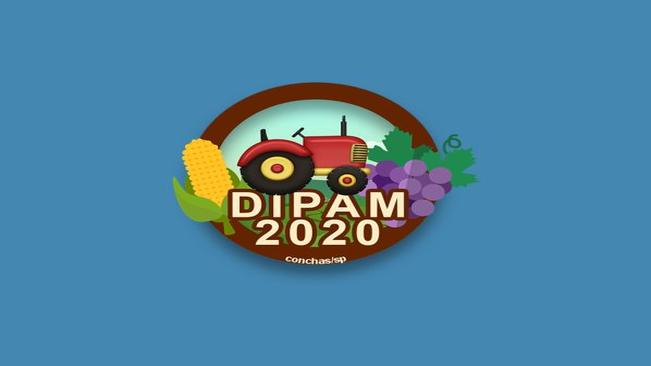 DIPAM 2020