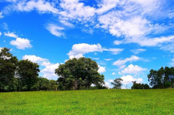 Foto - #DescubraConchas