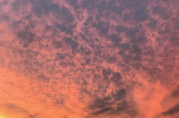 Foto - #DescubraConchas