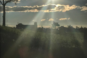 Foto - #DescubraConchas