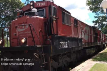 Foto - #DescubraConchas