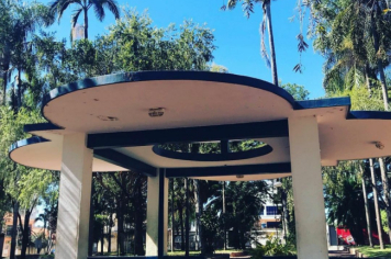 Foto - #DescubraConchas