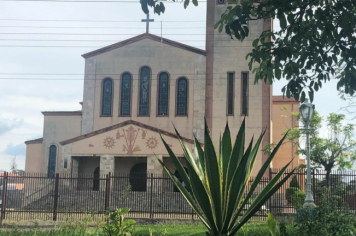 Foto - #DescubraConchas