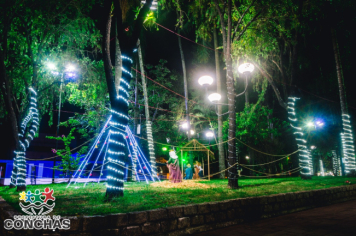 Foto - Decorações de Natal