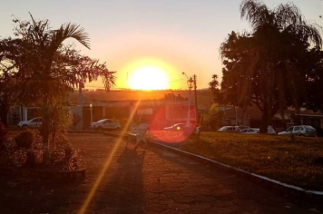 Foto - #DescubraConchas