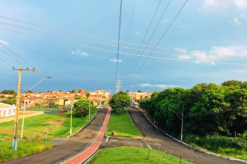 Foto - #DescubraConchas