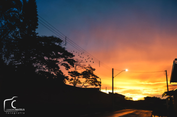 Foto - #DescubraConchas