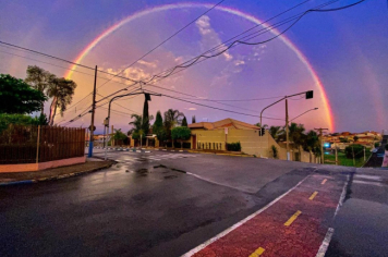 Foto - #DescubraConchas