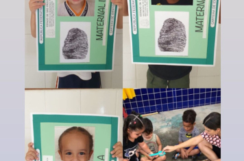 Foto - Escola Iracema: tudo sobre mim