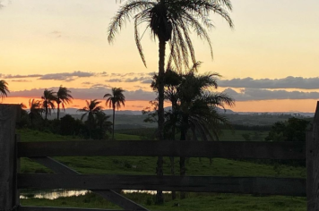 Foto - #DescubraConchas