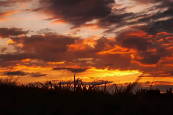 Foto - #DescubraConchas