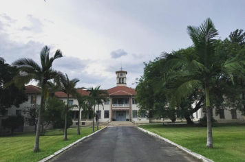 Foto - #DescubraConchas