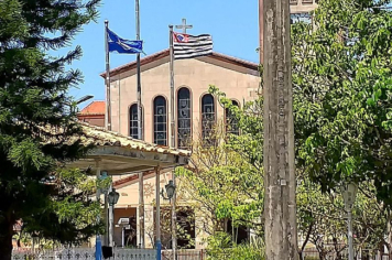 Foto - #DescubraConchas