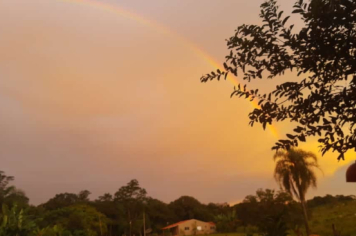 Foto - #DescubraConchas