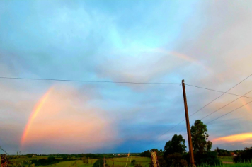 Foto - #DescubraConchas