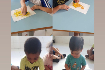 Foto - Escola Iracema: tudo sobre mim