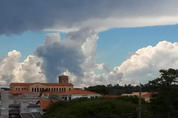 Foto - #DescubraConchas