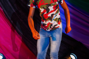 Foto - Festival Artístico - Lei Aldir Blanc