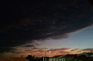 Foto - #DescubraConchas