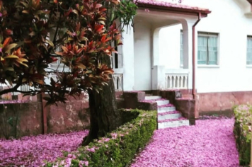 Foto - #DescubraConchas