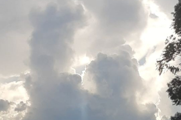 Foto - #DescubraConchas